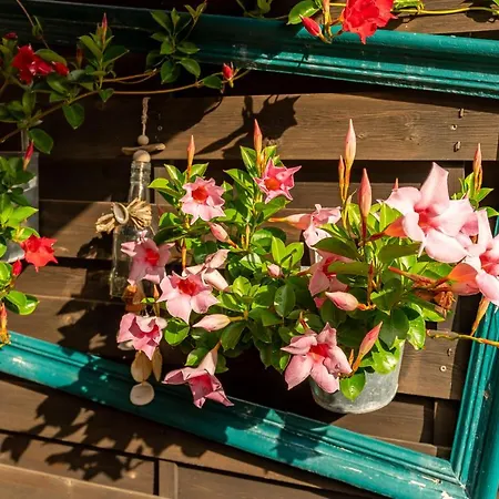 Hotel&restaurant Stadt Hotel 3*